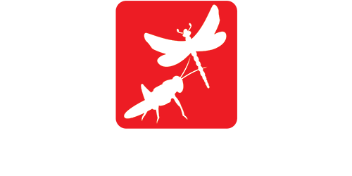 Grasshoppers Observe Dragonflies Publishing House